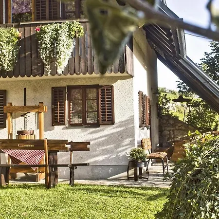 Vineyard Cottage Podrzaj Otocec Exterior photo