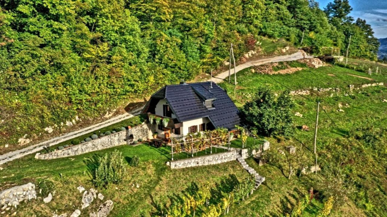 Vineyard Podrzaj Vikendica Otocec