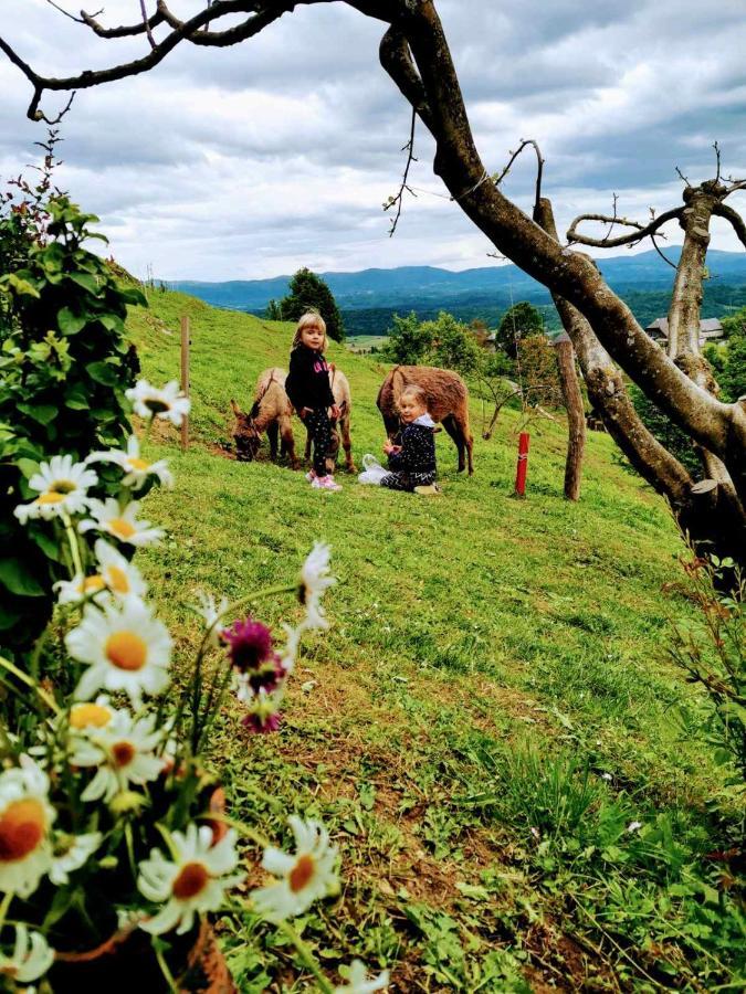 Vikendica Vineyard Podrzaj Otocec