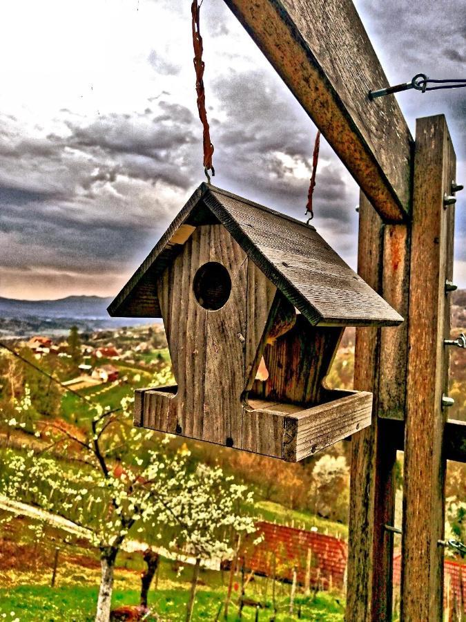 Vineyard Podrzaj