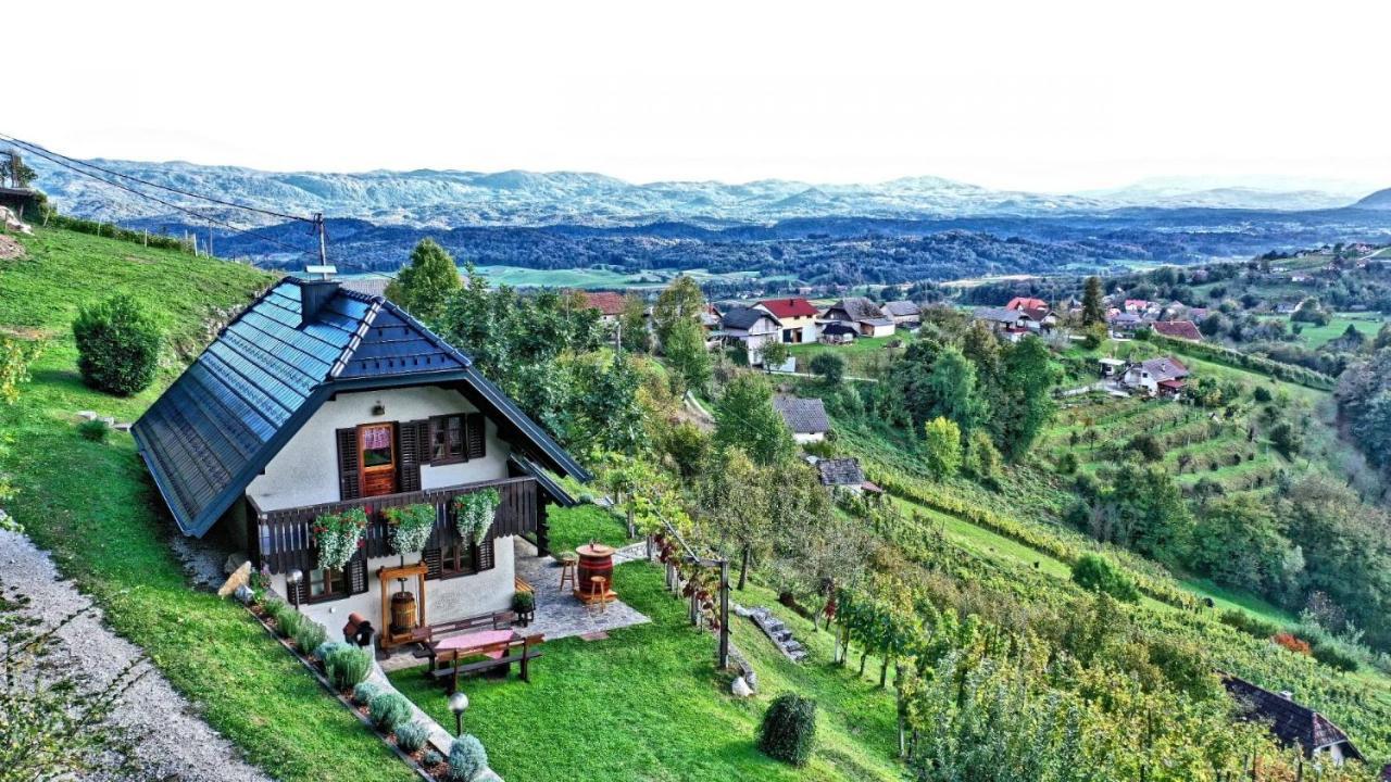 Vineyard Podrzaj Otocec