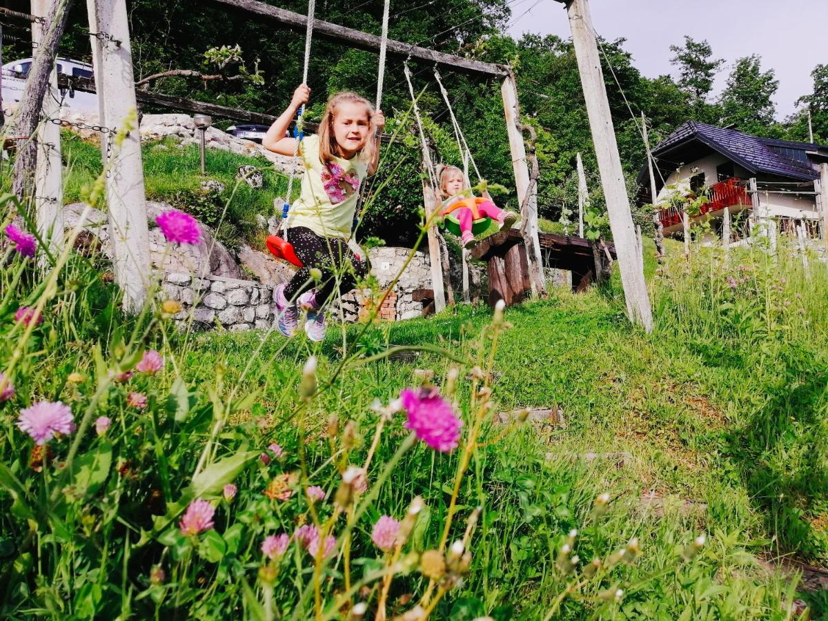 Vineyard Podrzaj Vikendica Otocec