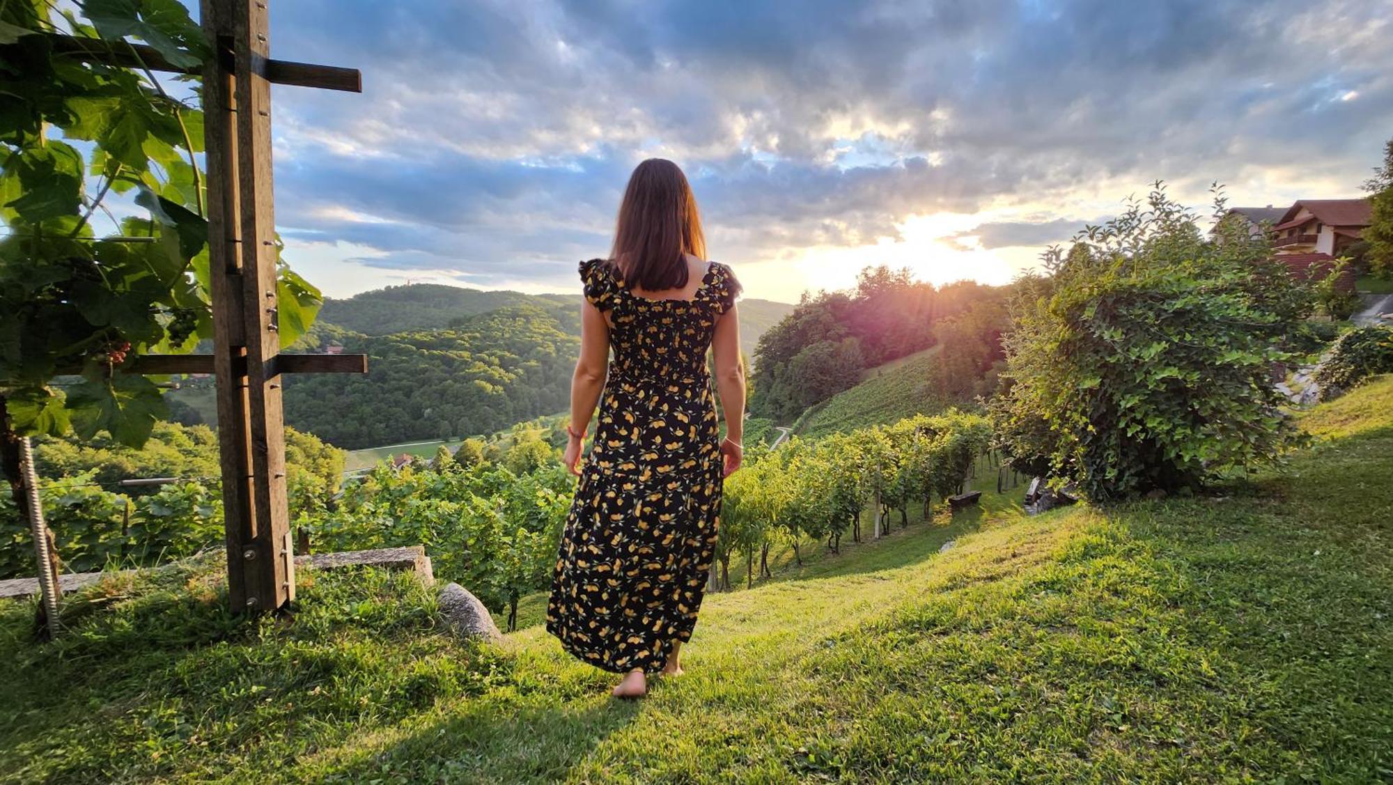 Vikendica Vineyard Podrzaj Otocec